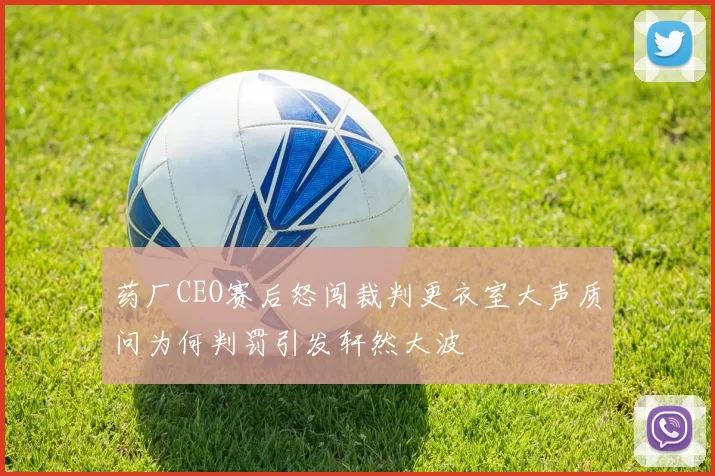 药厂CEO赛后怒闯裁判更衣室大声质问为何判罚引发轩然大波
